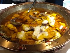 -雲蜀龙阁·金牌水煮鱼(方庄店)