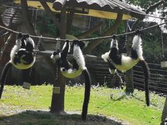 -大连森林动物园