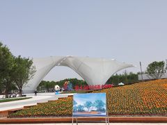 -东平国家森林公园