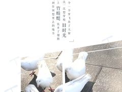 -南昌动物园