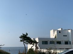 -海岛日记(养马岛店)