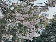 -红星桥(地铁站)
