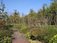 -昆山城市生态森林公园