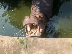 -西安秦岭野生动物园