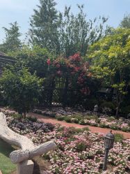 点击看大图 -爱儿美儿童摄影(五路居花园别墅店)