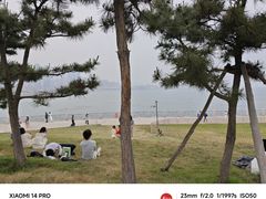 -小麦岛公园