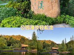 -云溪植物园