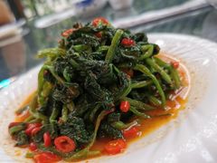 -天羽烤乳鸽店(财大家属院店)