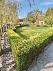 -卓玥国际月子会所(罗山路店)