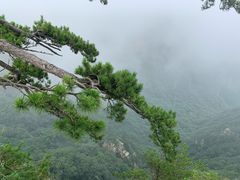 -老界岭旅游度假区