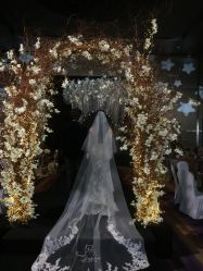 -MuseMarry婚纱(前海嘉里中心店)