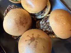 -bluefrog蓝蛙(石家庄欢乐汇店)