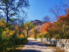 -北京鹫峰国家森林公园