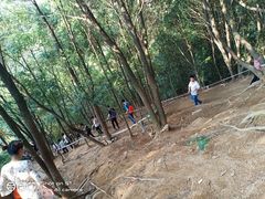-灵岩山风景区