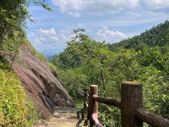 -广州白江湖森林公园