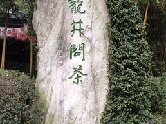 -十八棵（老龙井）御茶园(老龙井店)