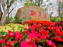 -映月湖公园