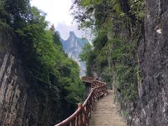 -鹿院坪生态旅游景区