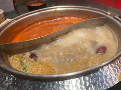 -牛New寿喜烧(金鹰世界店)