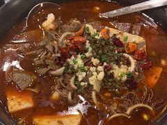 -永記粤菜·五指毛桃花雕鸡煲(九亭店)