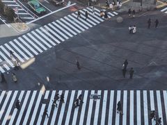 -涩谷区