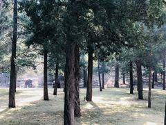景点-景山公园