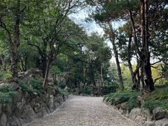 -叶家花园