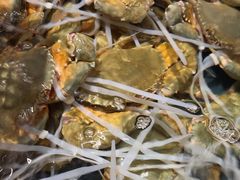 -龙宴海鲜城(经中路店)