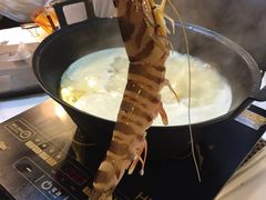 -鲜入围煮花胶鸡海鲜火锅