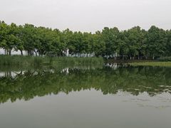 -金银湖国家城市湿地公园