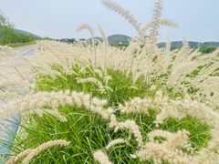 -西山风景区