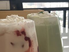 -喵园·猫主题咖啡厅·撸猫·猫咖(国贸店)