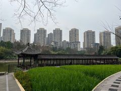 -龙头寺公园