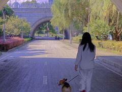 -尚贤河湿地