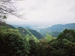 -莫干山风景区