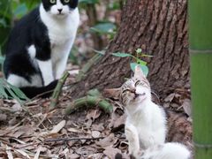 -苏州河梦清园环保主题公园