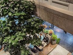 -大树餐厅(红旗街万达店)