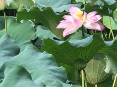 -杭州六谷生态休闲农庄有限公司