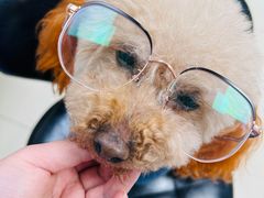 -宠颐生宠物医院·骨外科·犬猫全科诊疗中心(池州店)