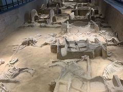 -洛阳周王城天子驾六博物馆