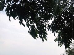 -巢湖姥山岛