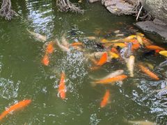 -珠海圆明新园