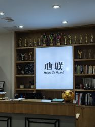 -心联形象设计·流星染