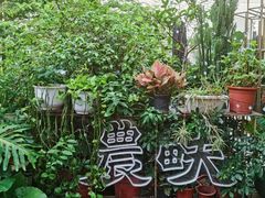 -农畉LONFOOD(福田星河COCOPark店)