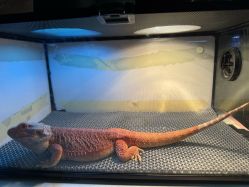 -酷嗒动物文化乐园(cutezoo西溪乐天城店)