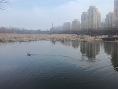 -前关湿地公园