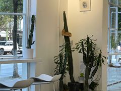 -收获咖啡HARVEST RESERVE(苍山店)