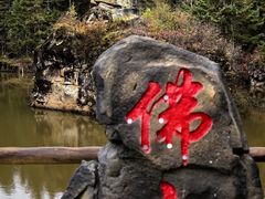 -茅兰沟国家森林公园