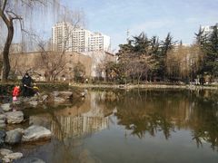 -木塔寺遗址生态公园