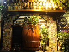 -刘姐啤酒鱼民族演艺餐厅(西街总店)